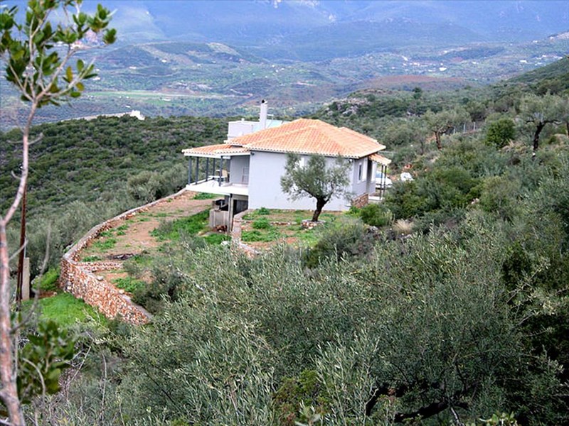 Land for Sale in Artemisia, Messinia 200 sq.m. Buy Greek Properties